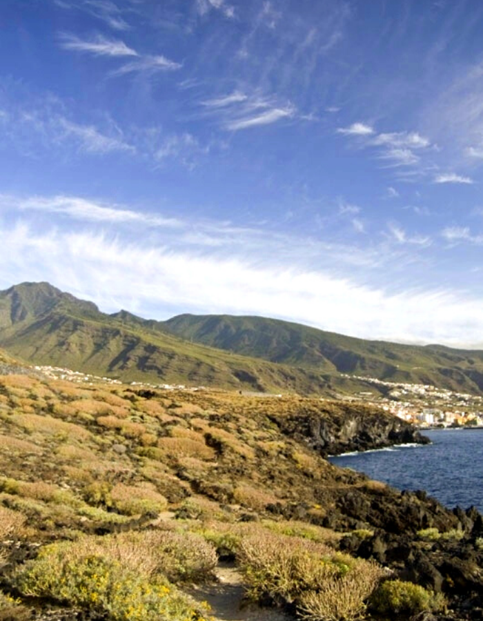 El Rebusco Bodegas | Vinos de Tenerife, Visitas a la bodega, Catas y tienda online de vinos Tenerife